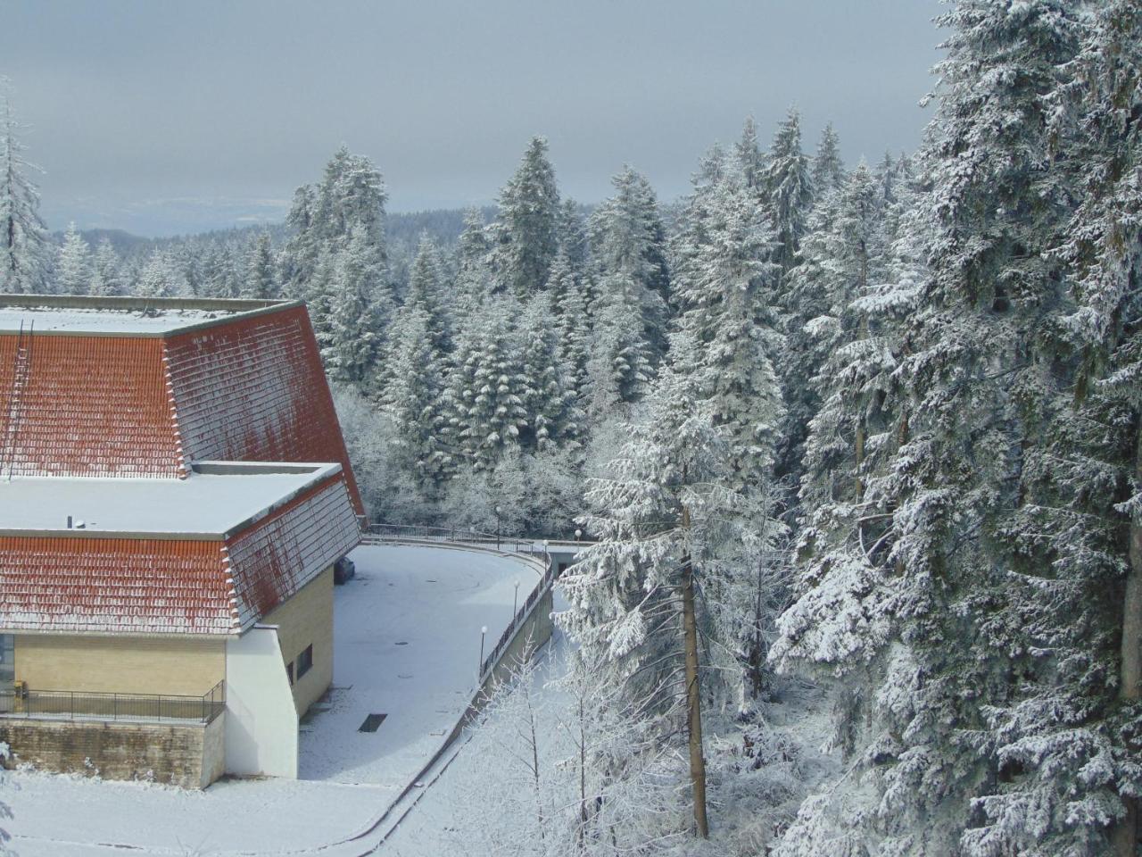 Ski Apartment Boyika Iglika 2 Borovets Exterior foto
